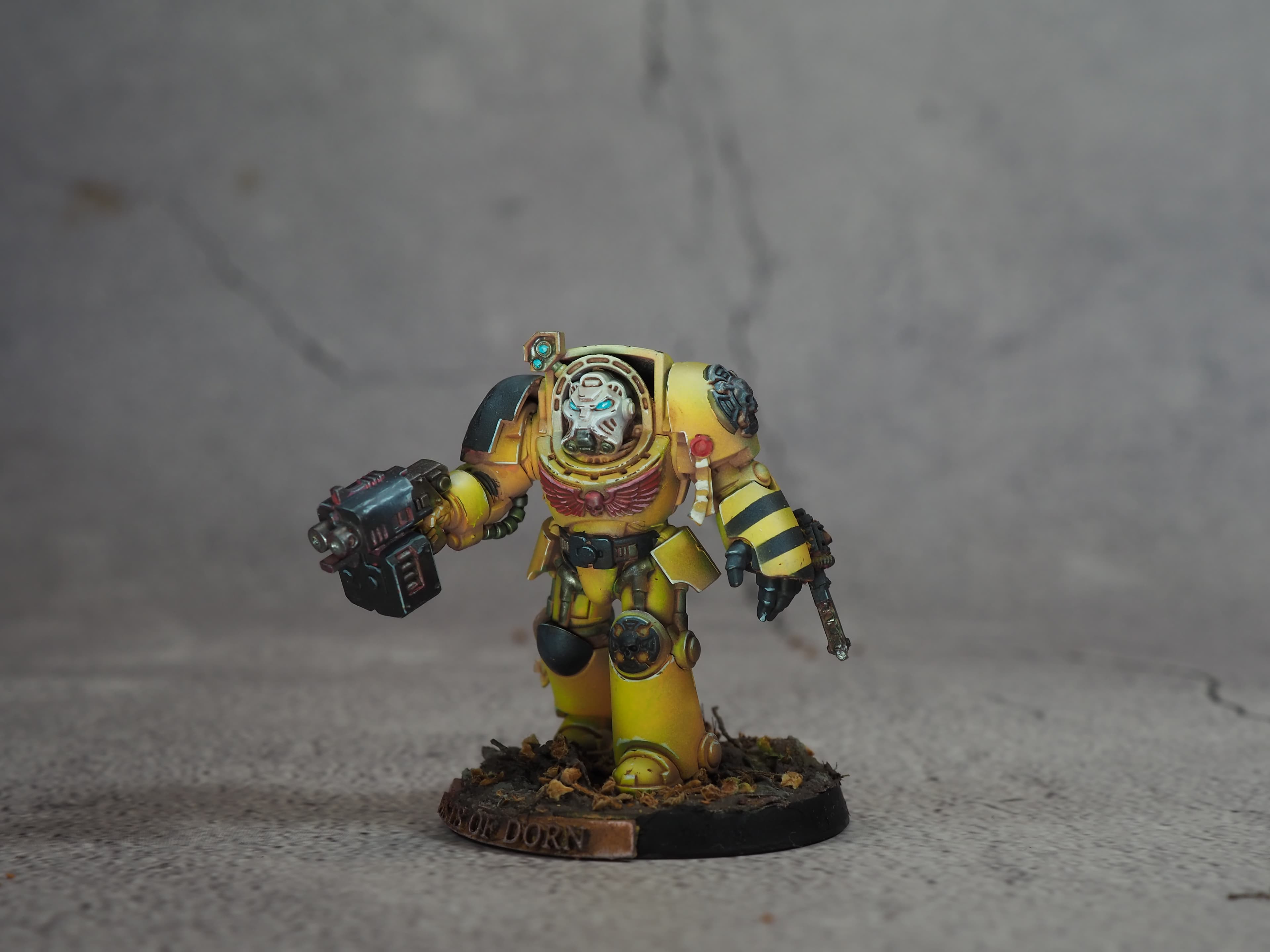 Gallery D71v8rxjS4qeISdqzXCwug image